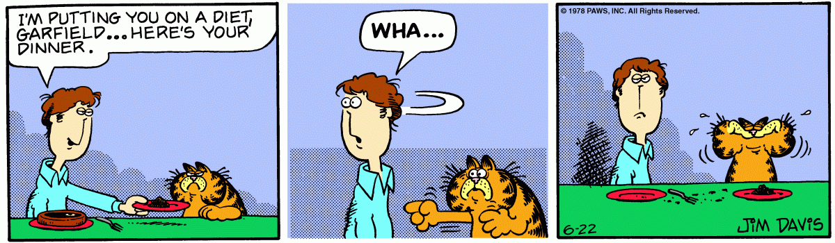 Garfield, June 22, 1978