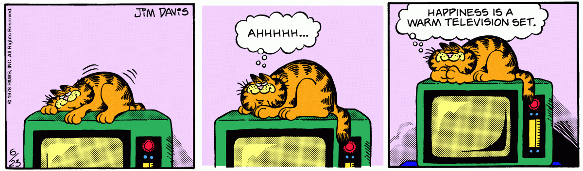 Garfield, June 23, 1978