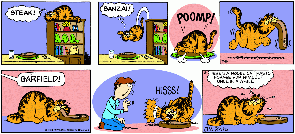 Garfield, July 9, 1978