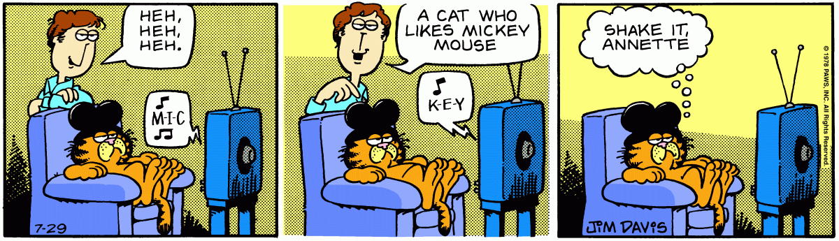 Garfield, July 29, 1978