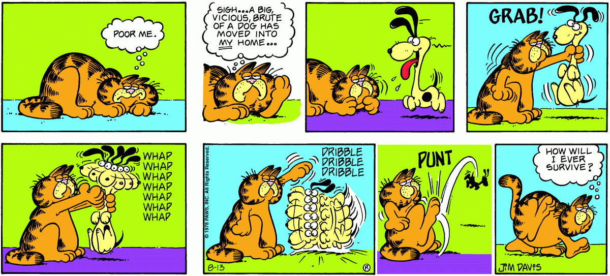Garfield, August 13, 1978
