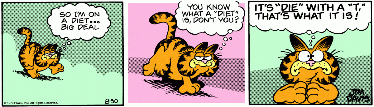 Garfield, August 30, 1978