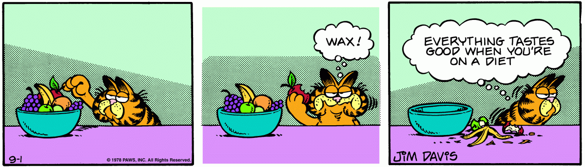 Garfield, September 1, 1978