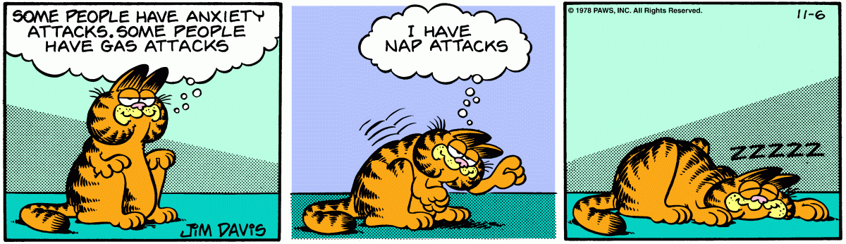 Garfield, November 6, 1978