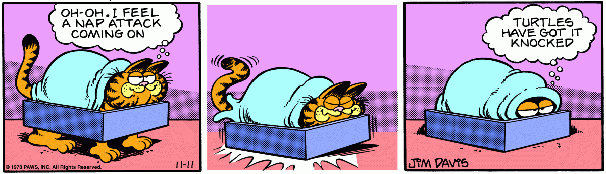 Garfield, November 11, 1978