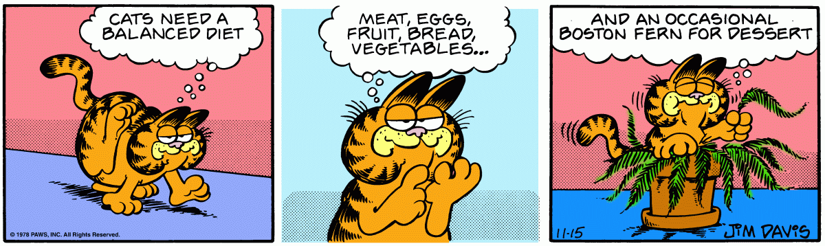 Garfield, November 15, 1978