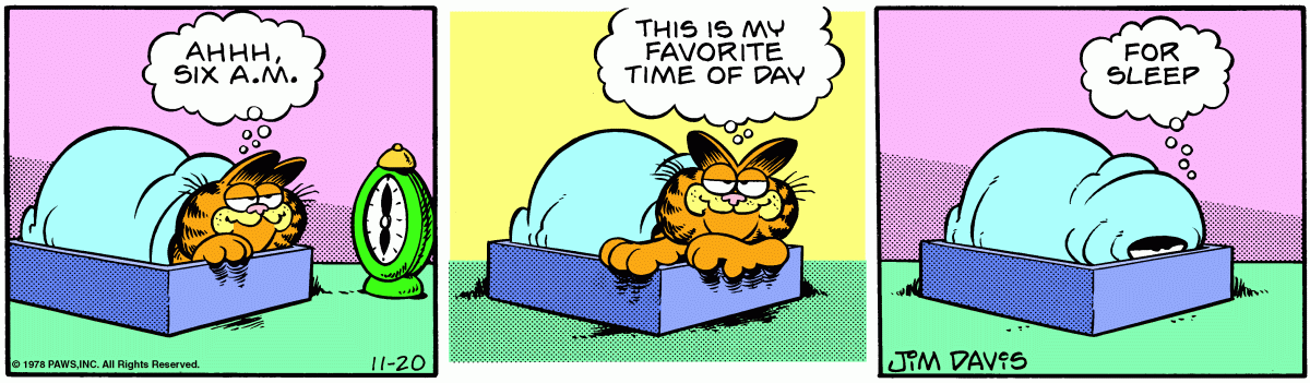 Garfield, November 20, 1978