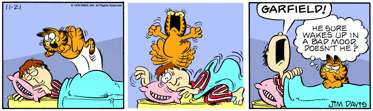Garfield, November 21, 1978