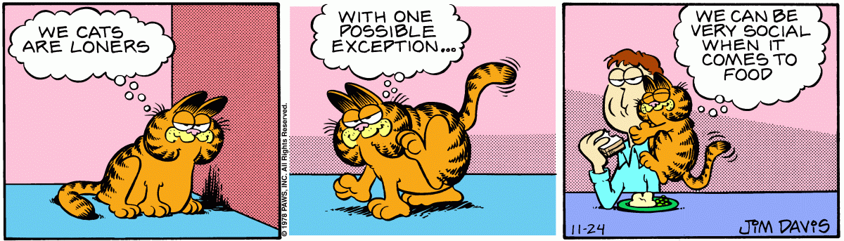 Garfield, November 24, 1978