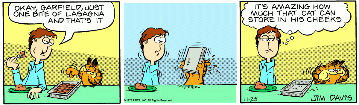 Garfield, November 25, 1978