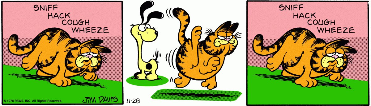 Garfield, November 28, 1978