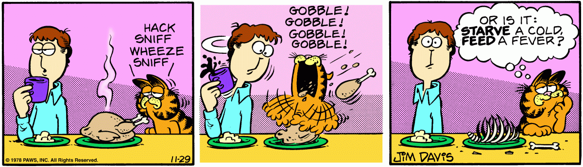 Garfield, November 29, 1978