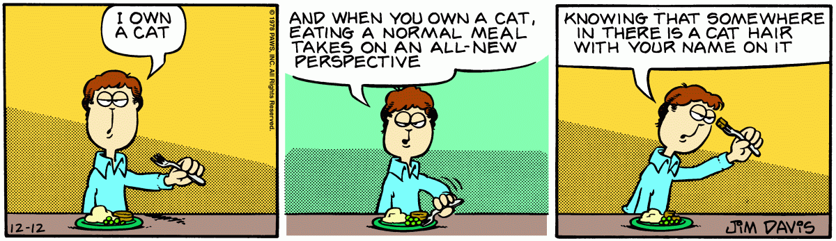 Garfield, December 12, 1978