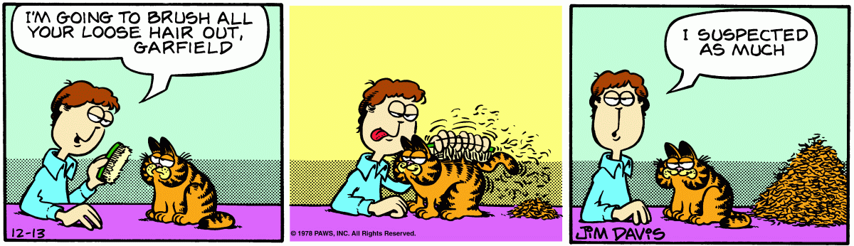 Garfield, December 13, 1978