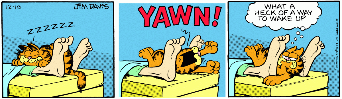 Garfield, December 18, 1978