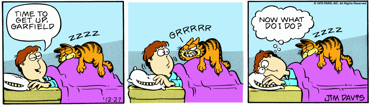 Garfield, December 27, 1978