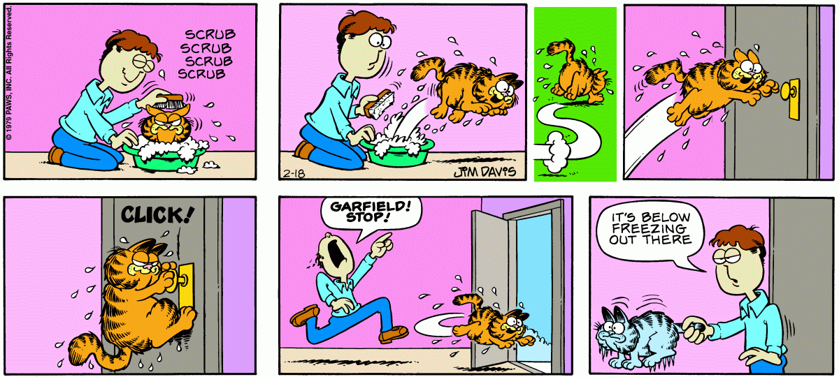 Garfield, February 18, 1979