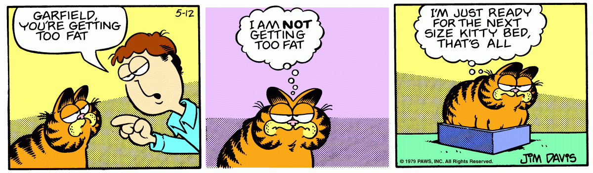 Garfield comic strip for Saturday, May 12, 1979