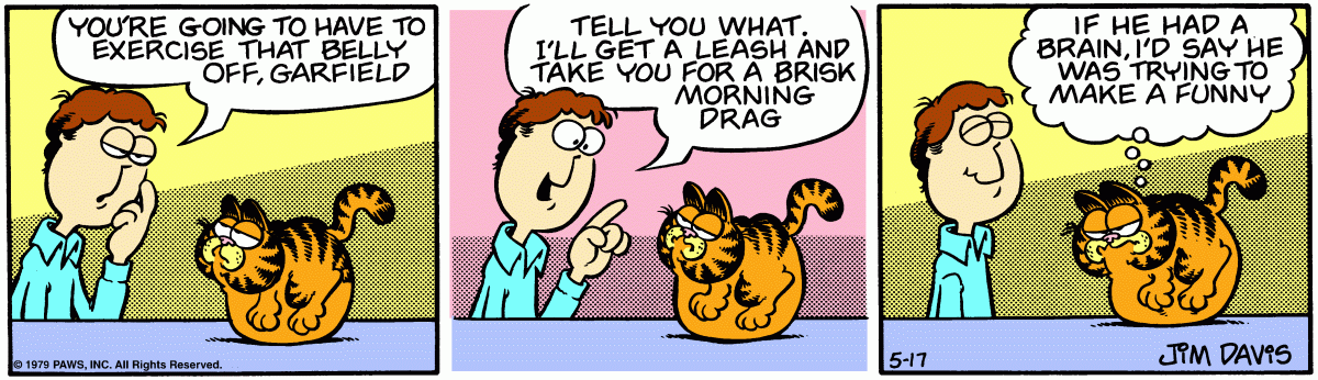 Garfield, May 17, 1979