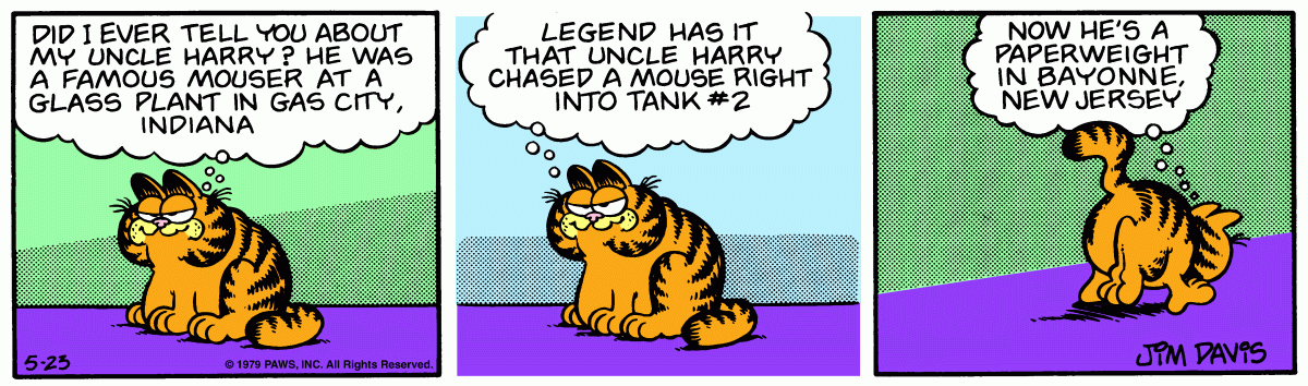 Garfield, May 23, 1979