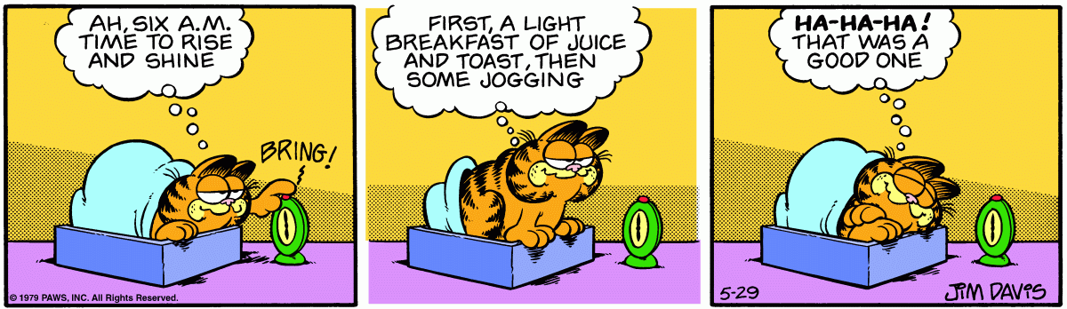 Garfield, May 29, 1979