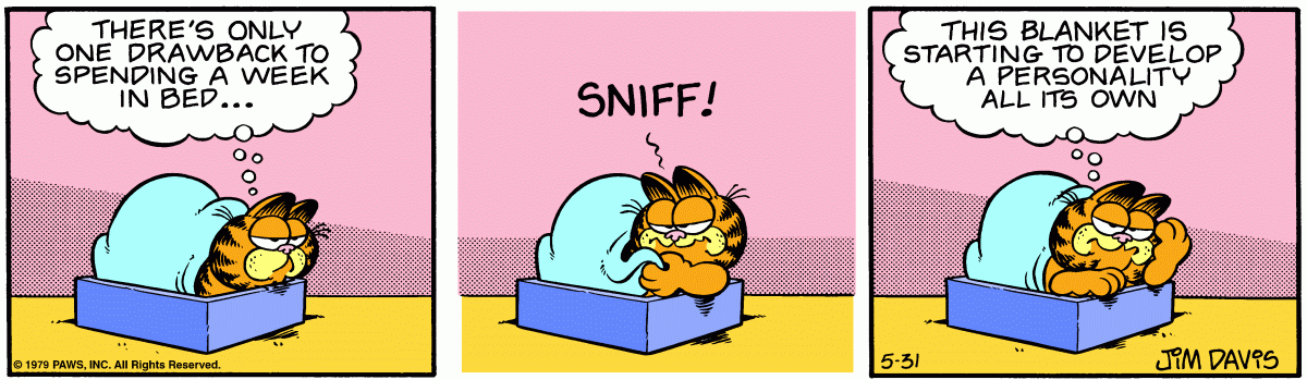 Garfield, May 31, 1979