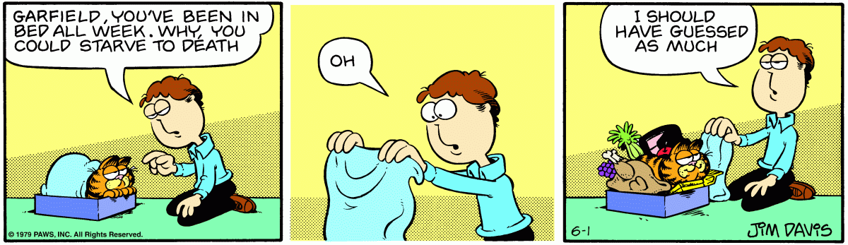 Garfield, June 1, 1979