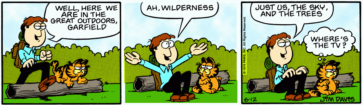 Garfield, June 12, 1979