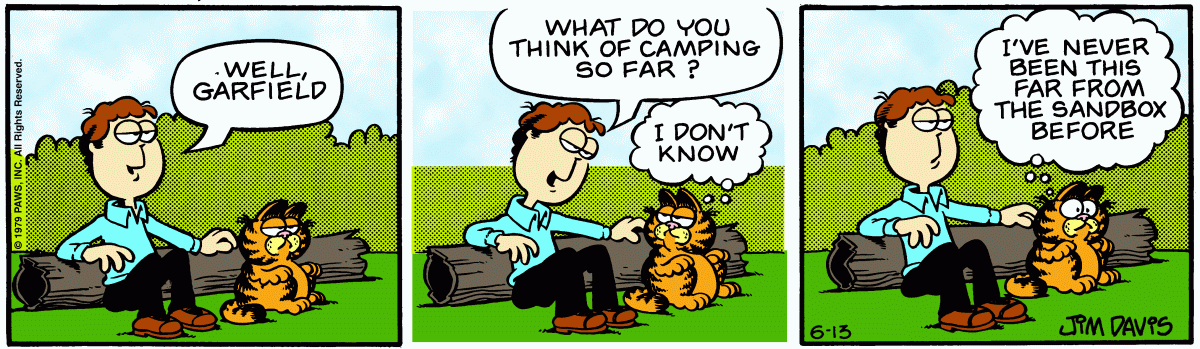 Garfield, June 13, 1979
