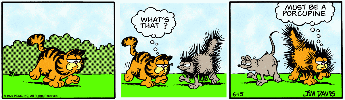 Garfield, June 15, 1979