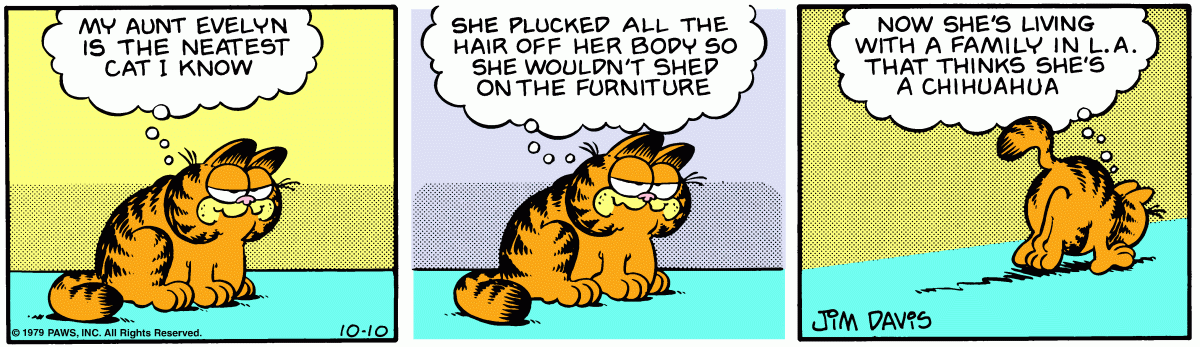 Garfield, October 10, 1979