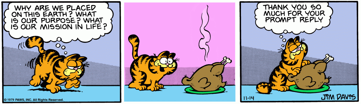 Garfield, November 14, 1979