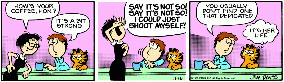 Garfield comic strip for Friday, November 16, 1979
