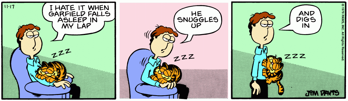 Garfield, November 17, 1979