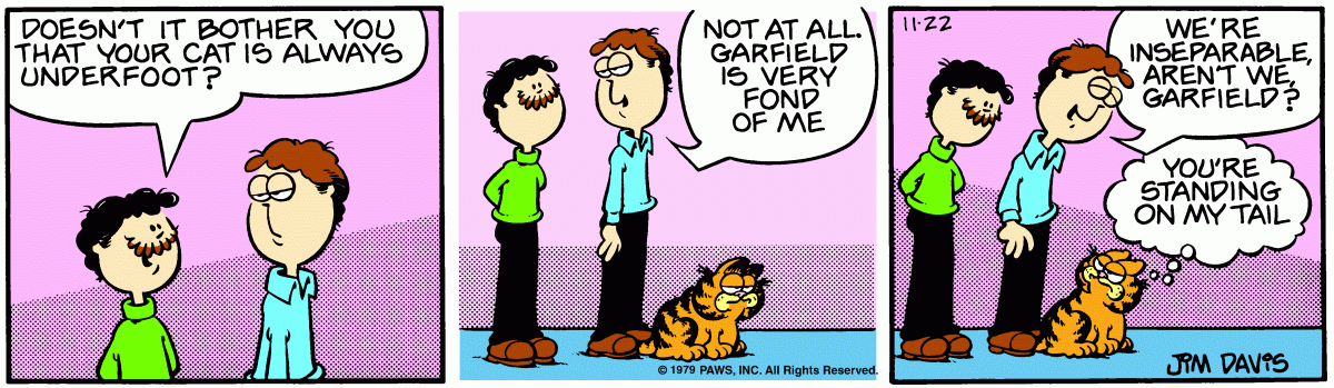 Garfield, November 22, 1979