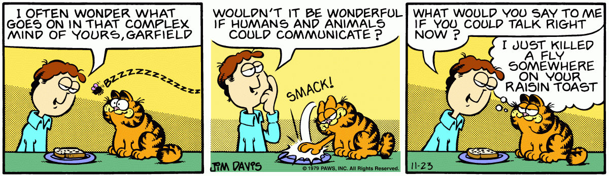 Garfield, November 23, 1979