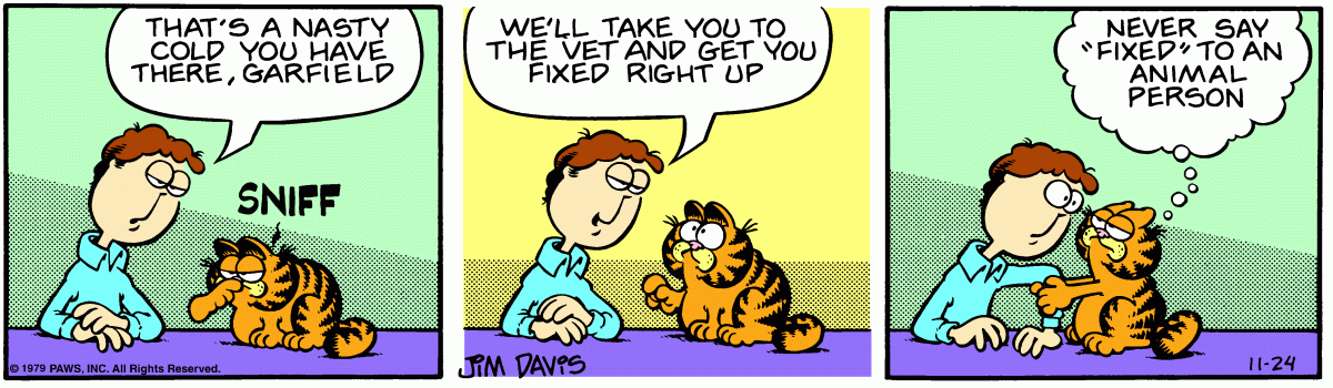 Garfield, November 24, 1979