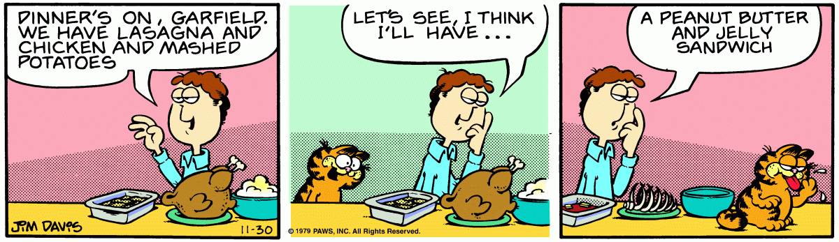 Garfield comic strip for Friday, November 30, 1979