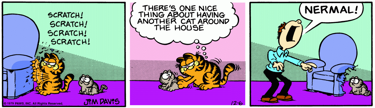 Garfield, December 6, 1979