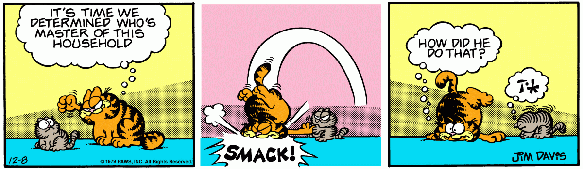 Garfield, December 8, 1979