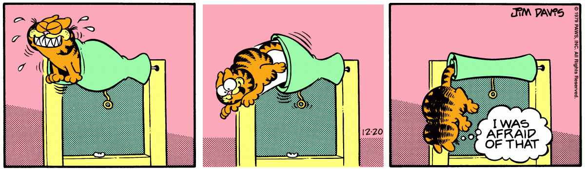 Garfield, December 20, 1979