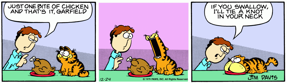 Garfield, December 24, 1979