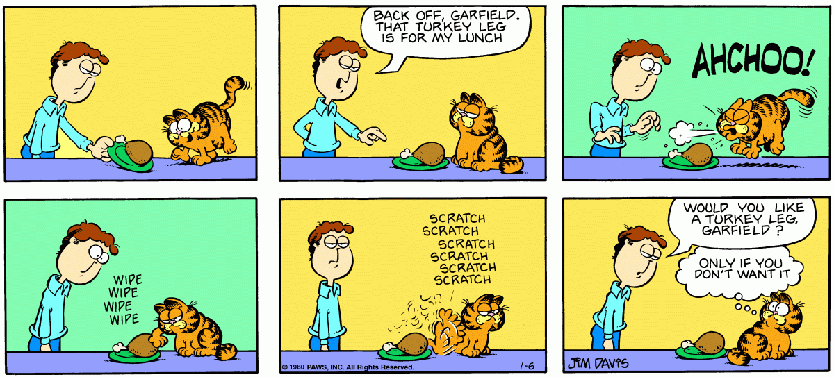 Garfield, January 6, 1980