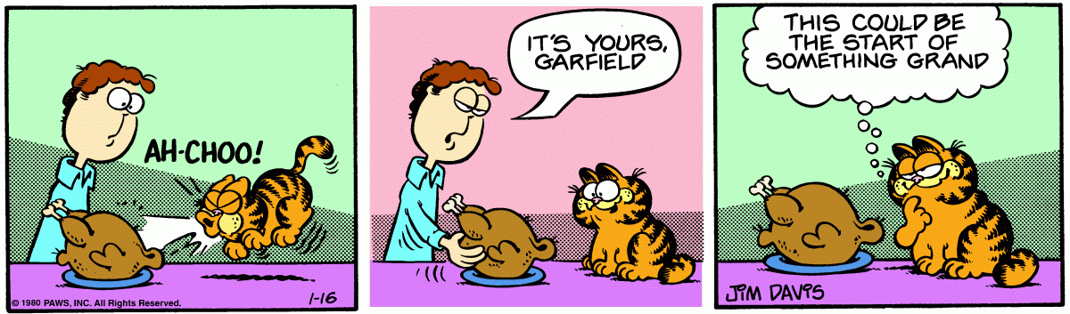 Garfield, January 16, 1980
