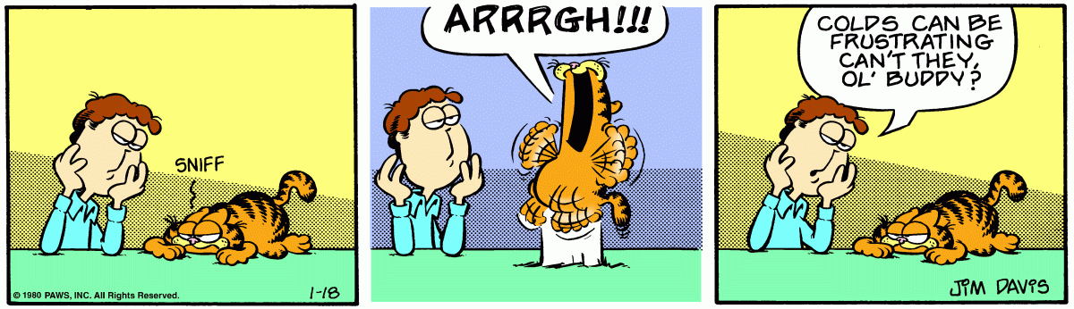 Garfield, January 18, 1980