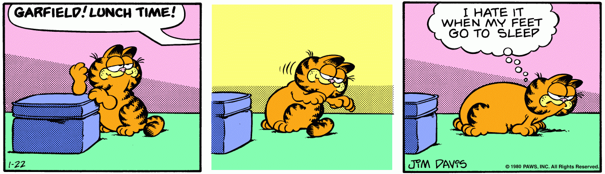 Garfield, January 22, 1980