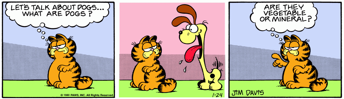 Garfield, January 24, 1980
