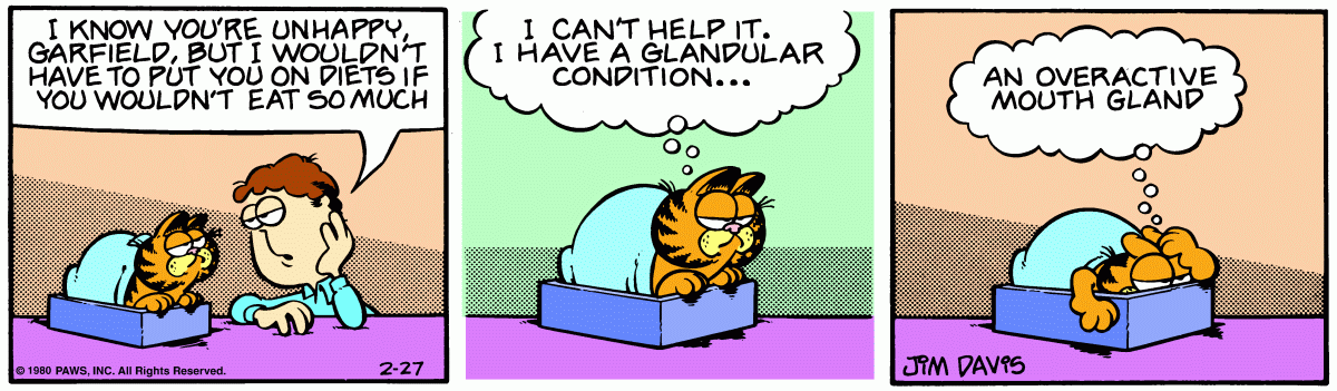 Garfield, February 27, 1980