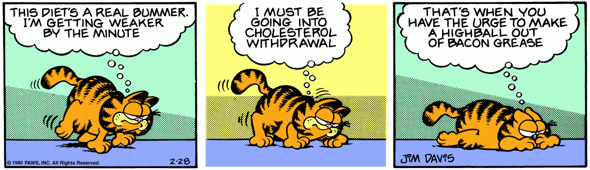 Garfield, February 28, 1980