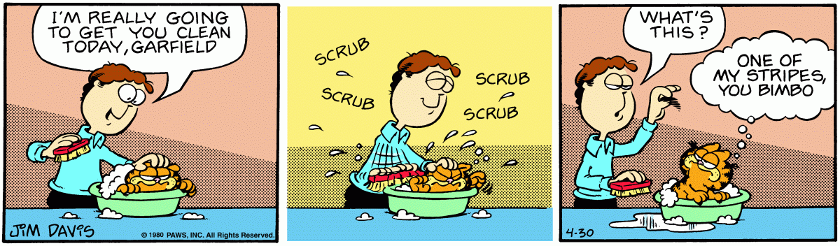 Garfield, April 30, 1980